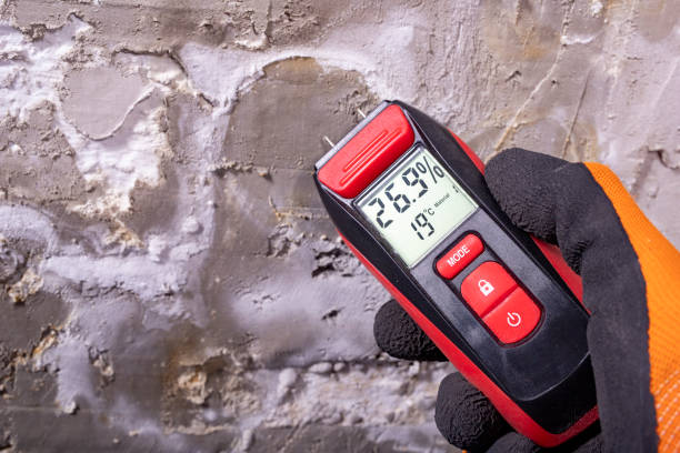 Best Certified Mold Removal  in Faribault, MN