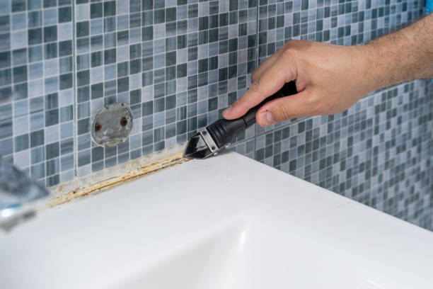 Best Mold Removal Specialists  in Faribault, MN